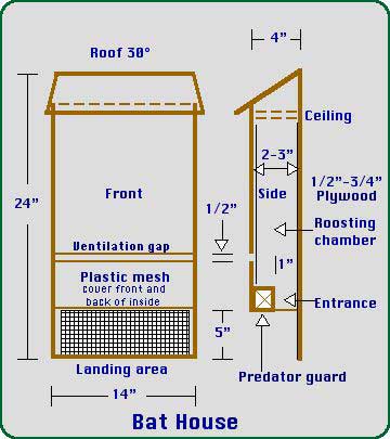 Bat House Plans